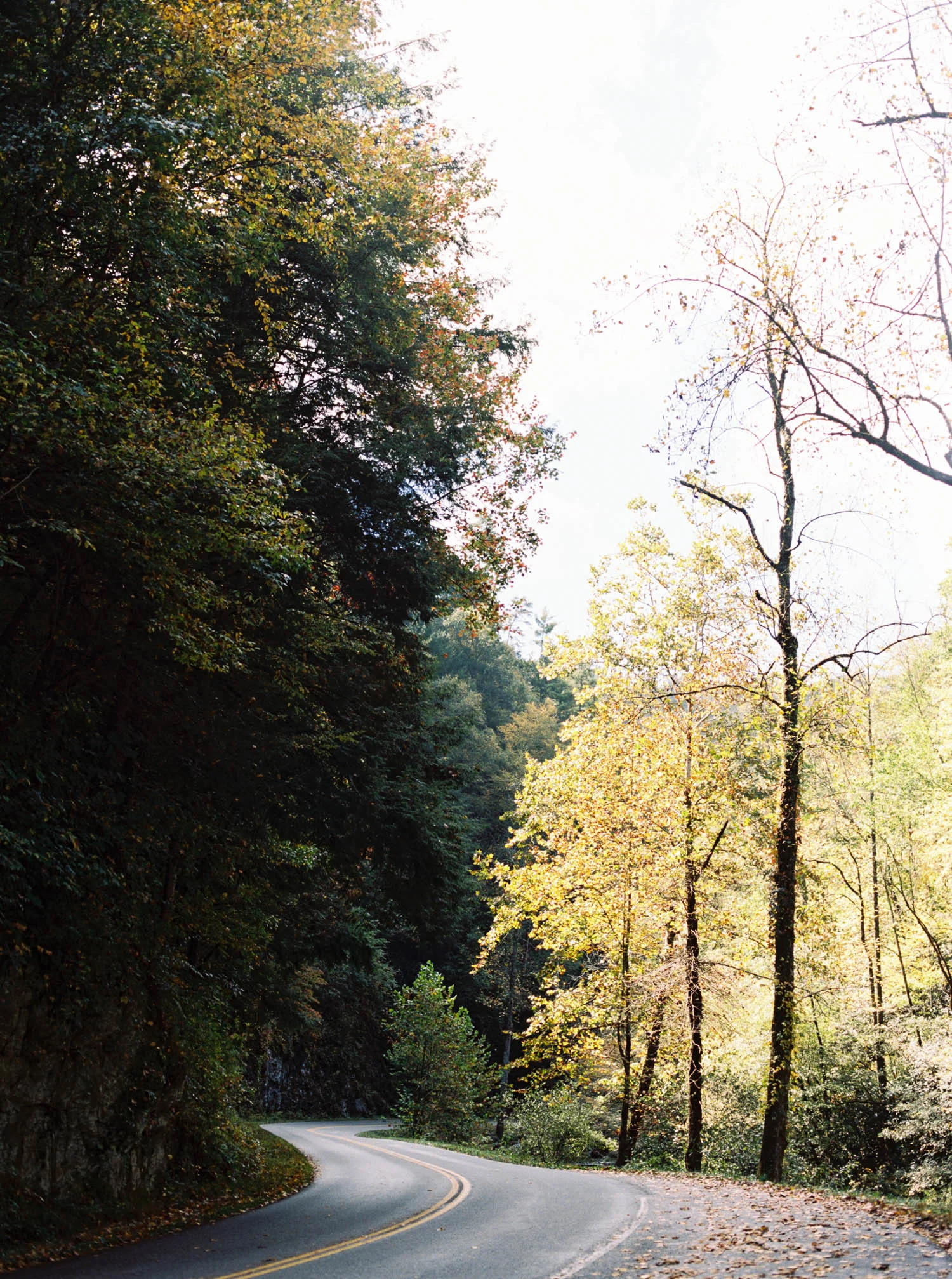 McCoyProposal_0024.jpg
