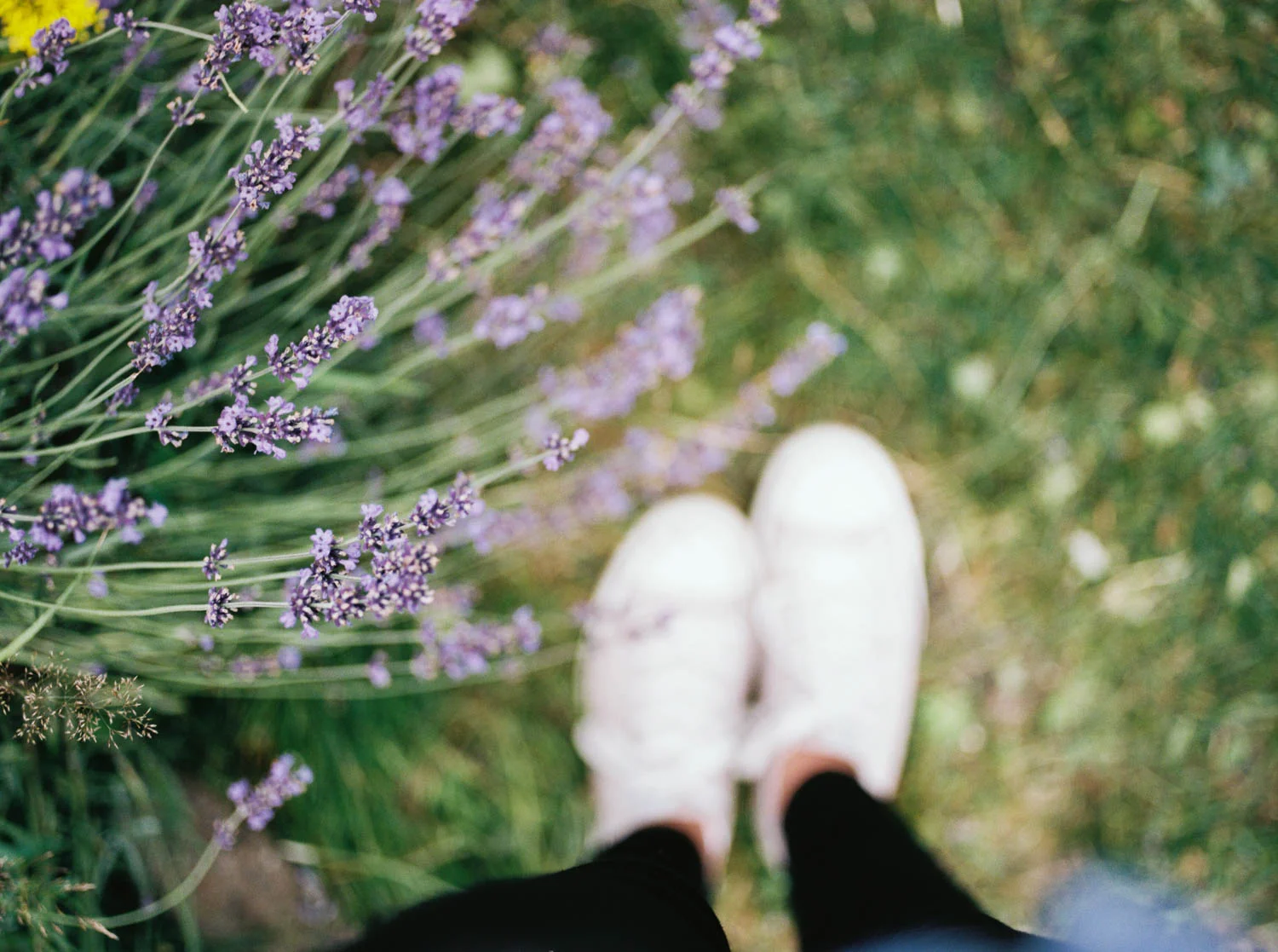 Alsacefilm_0014.jpg