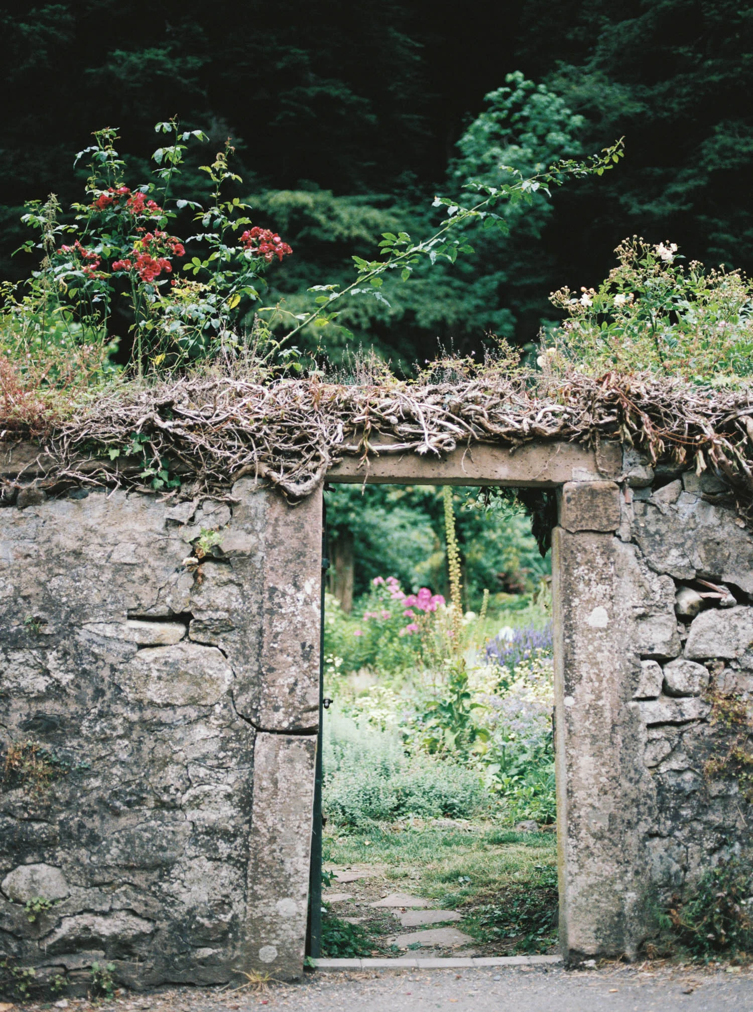 Alsacefilm_0015.jpg