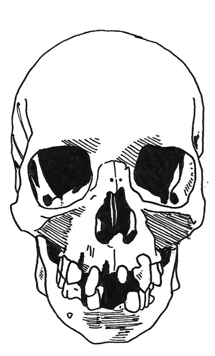 skullio copy.png