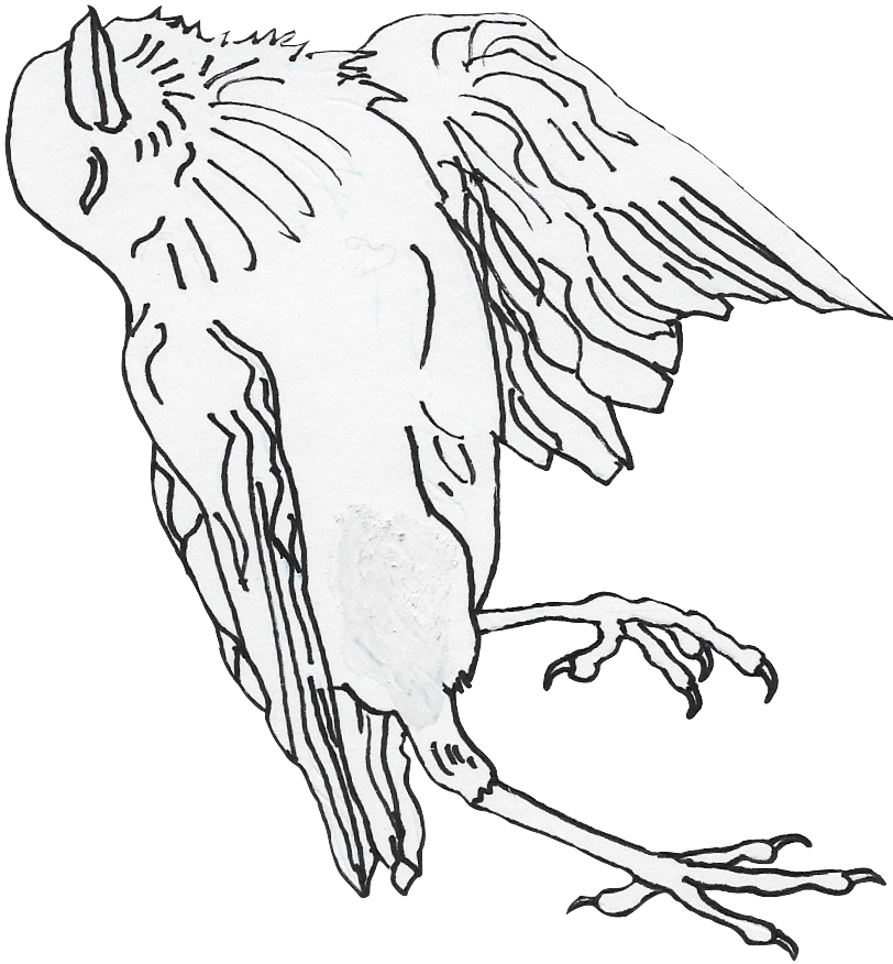 canaries.png