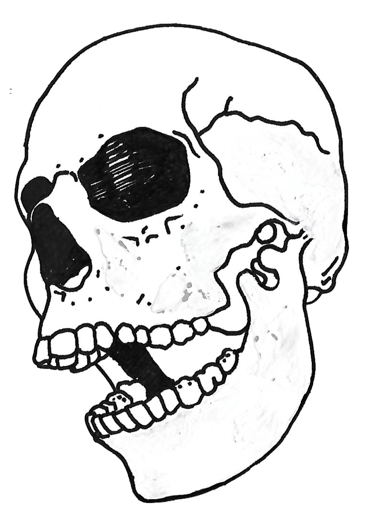 skull+copy.png