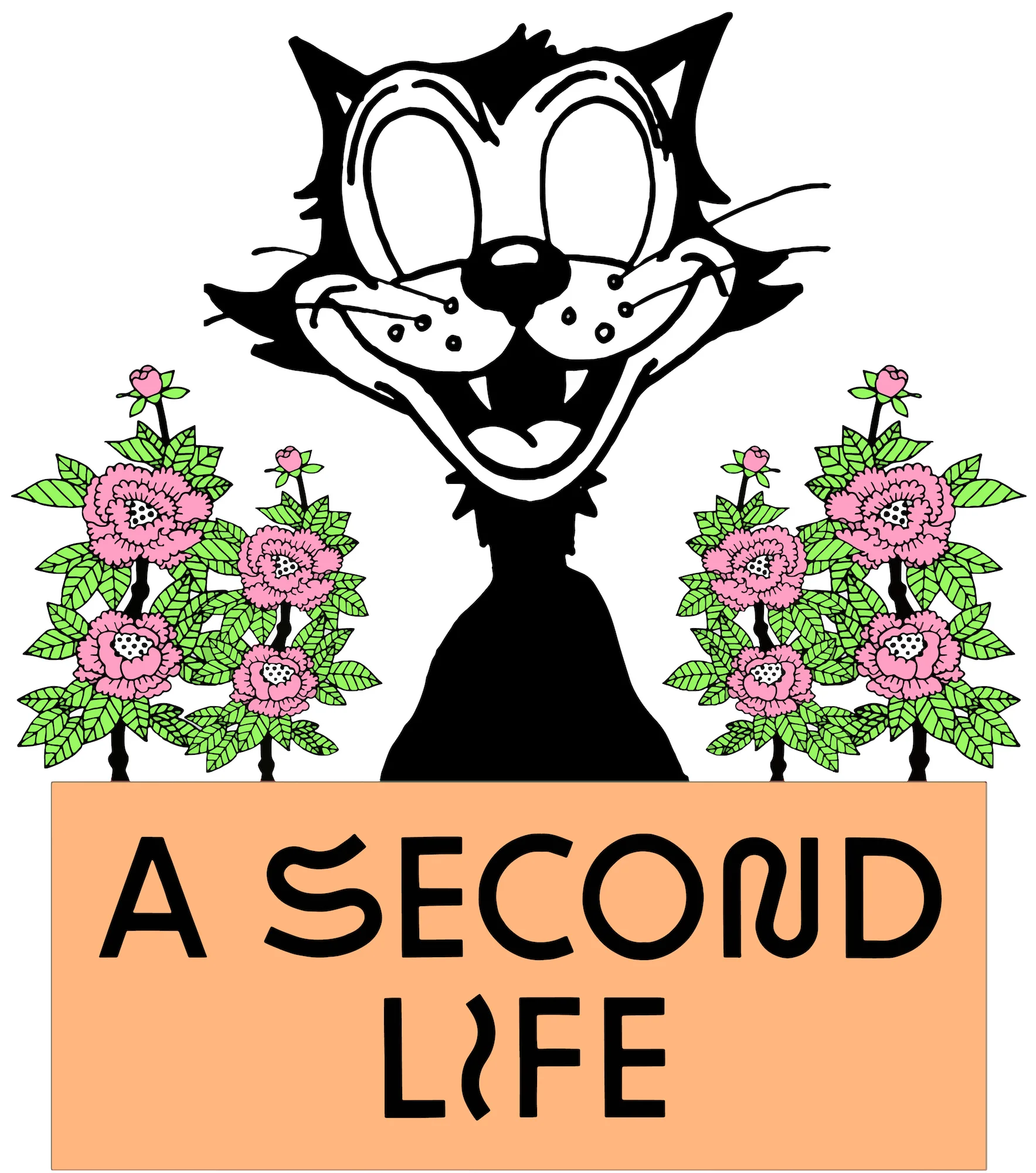 a-second-life.jpg
