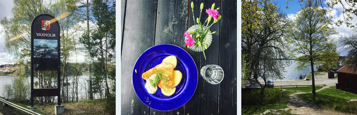 ^ Use your Stockholm travel card to get all the way to Vaxholm in the Stockholm Archipelago (and enjoy the gorgeous food and scenery when you get there :)