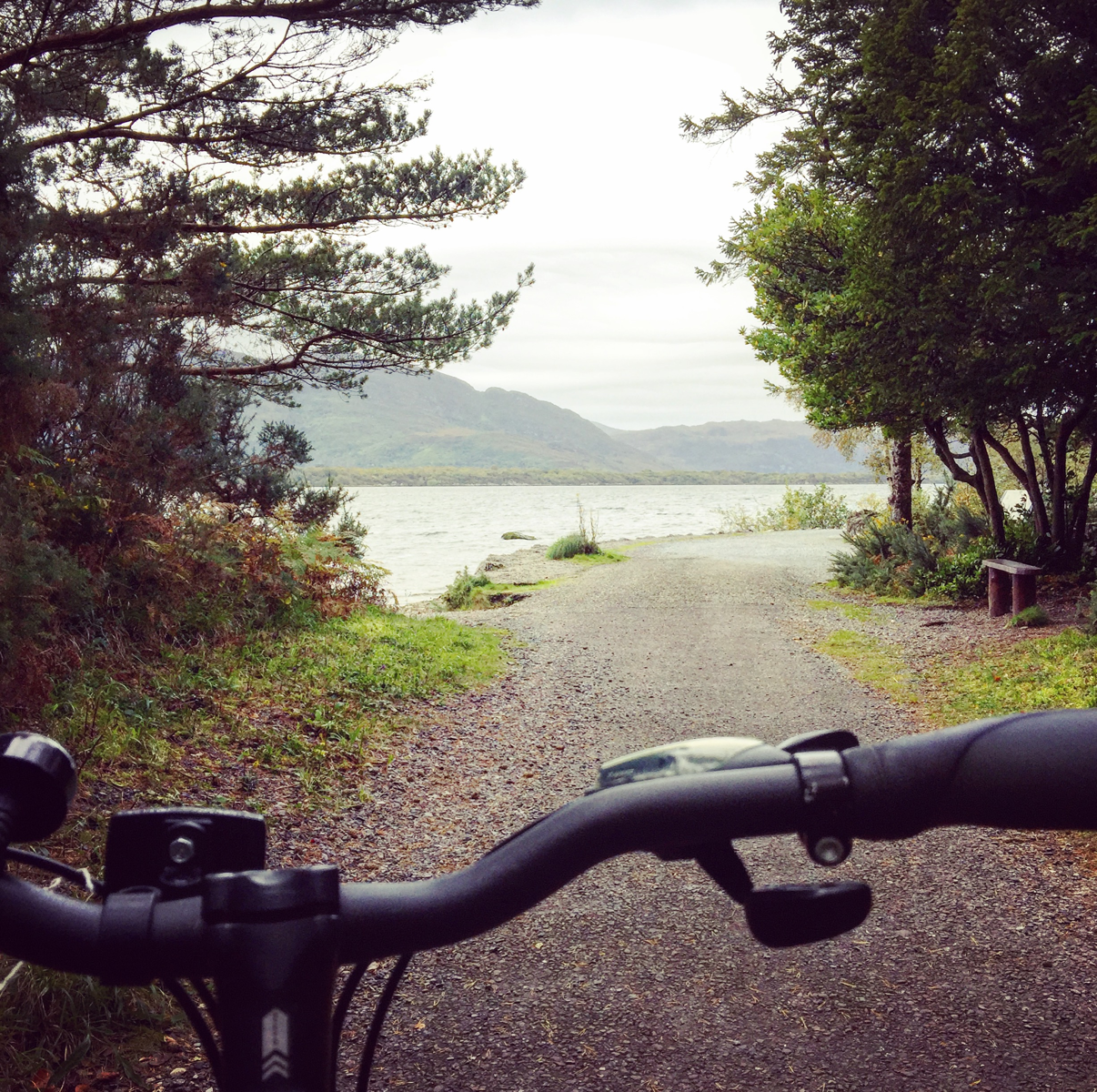 Ireland - this was taken early one morning in beautiful Killarney National Park.