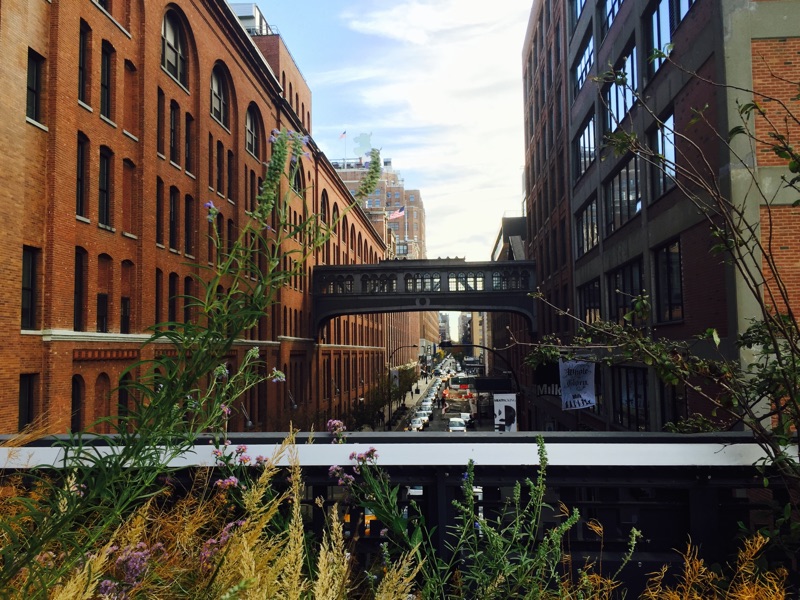 The ultimate solo travel guide to New York - up on The High Line