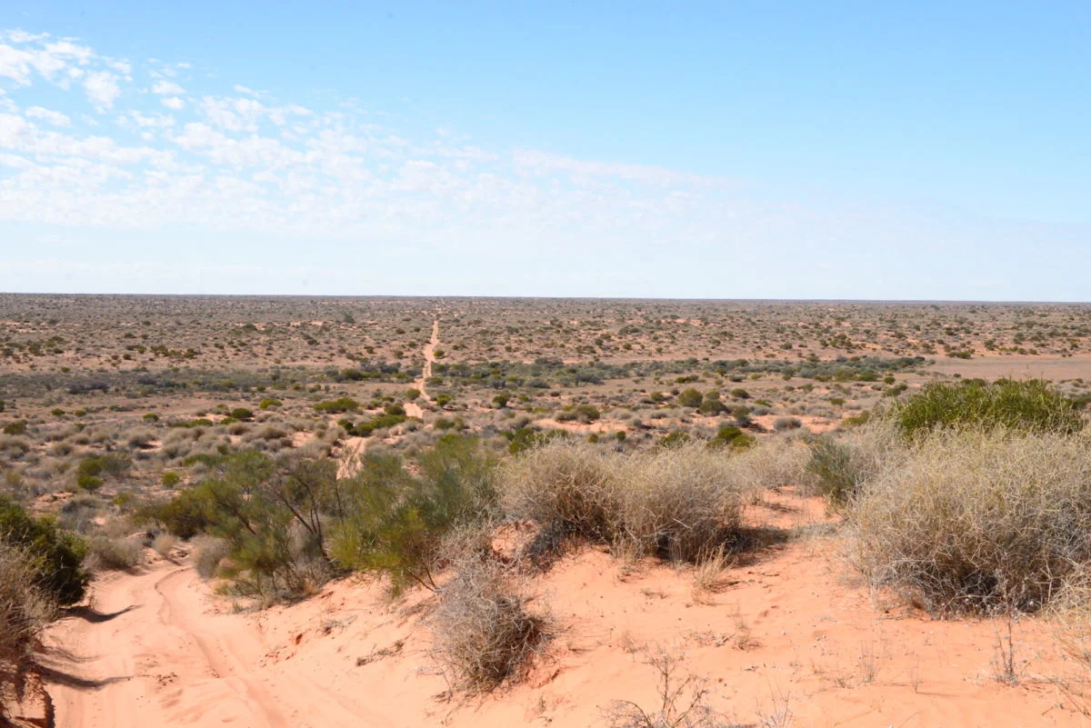 Solo driving through the Australian outback