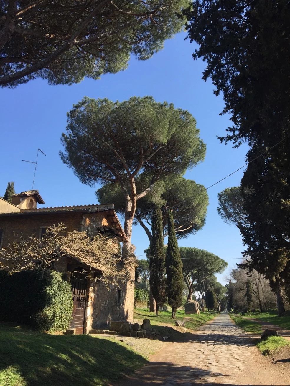 Solo travel guide Rome