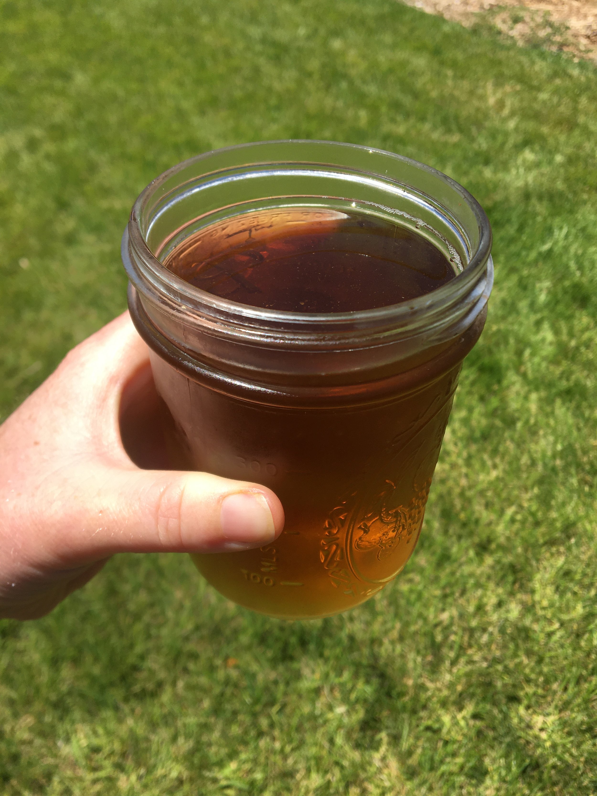 Benefits of red raspberry leaf — Wildflower Medicine