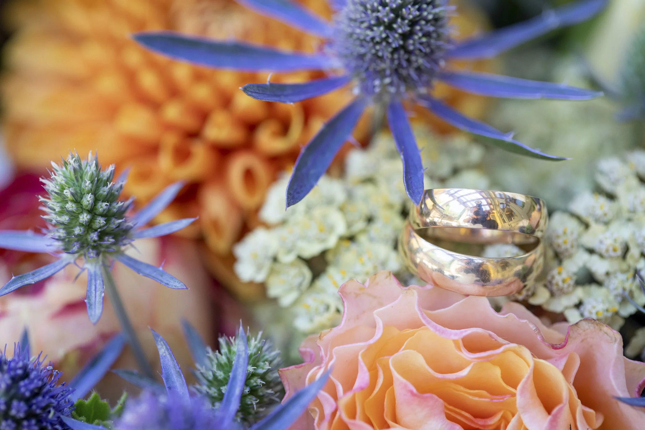 Clare&Raymond-PasoRoblesWedding-DeviPridePhotography045.8x10.jpg