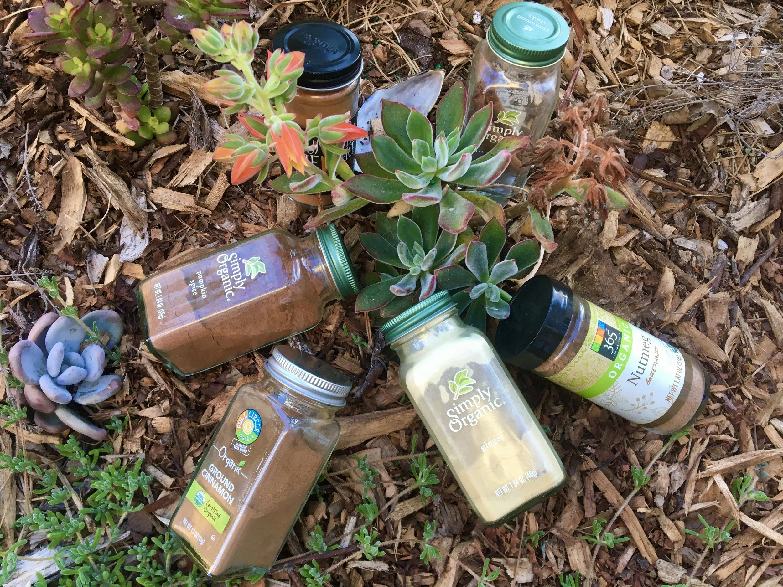 Recipe for Pumpkin Spice