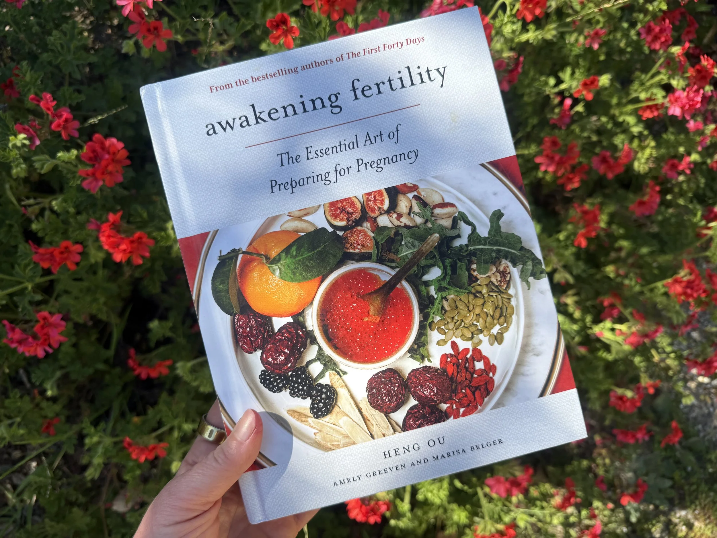 My favorite fertility books