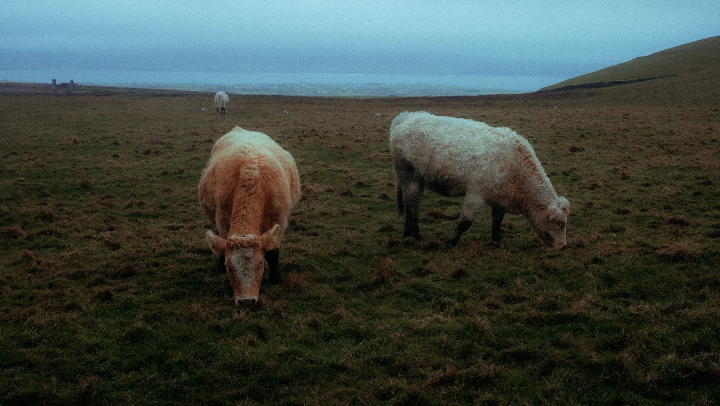 Moher-43.jpg