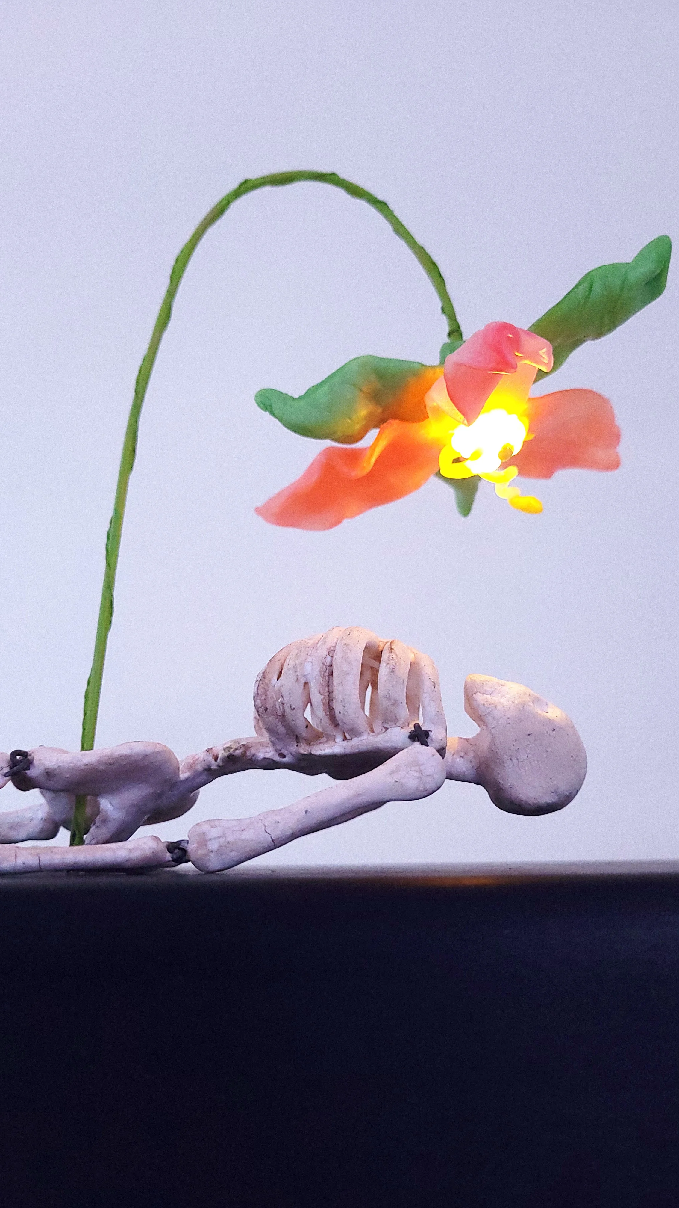 nurse log 2 brighter.jpg