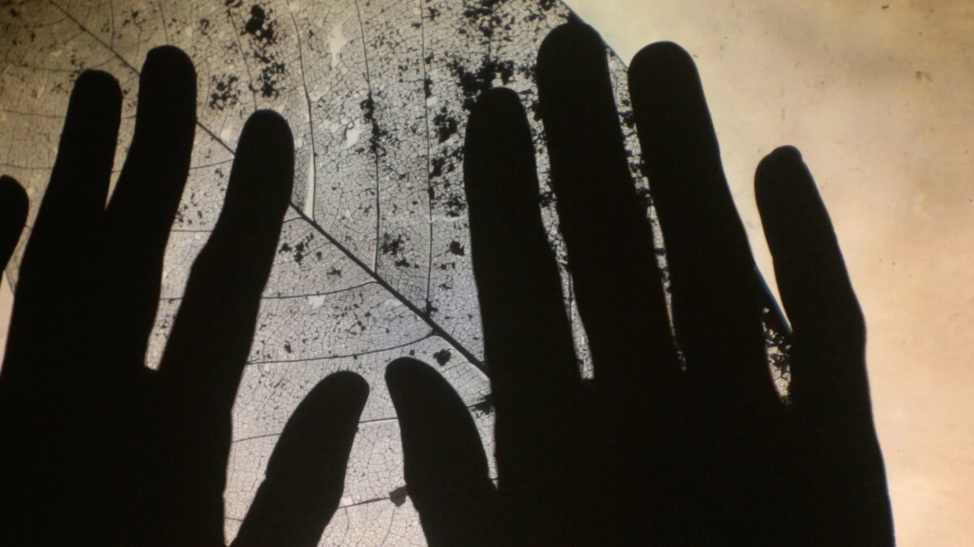 full sequence Copy 01.00_05_03_01.Still011.jpg