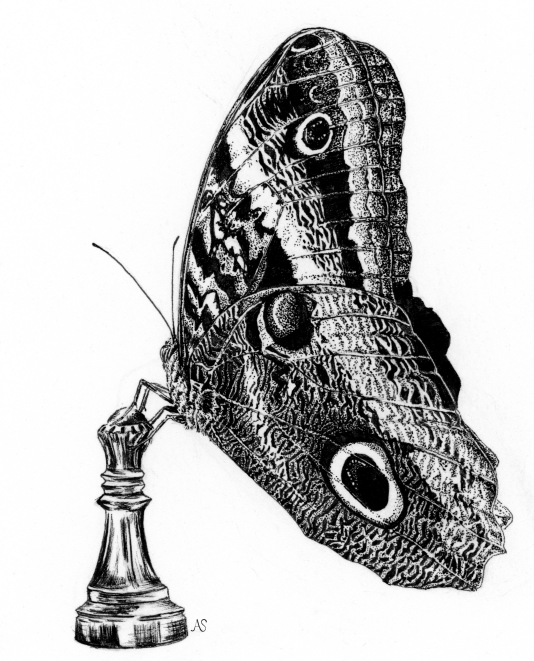 caligo_AS_150-white.png