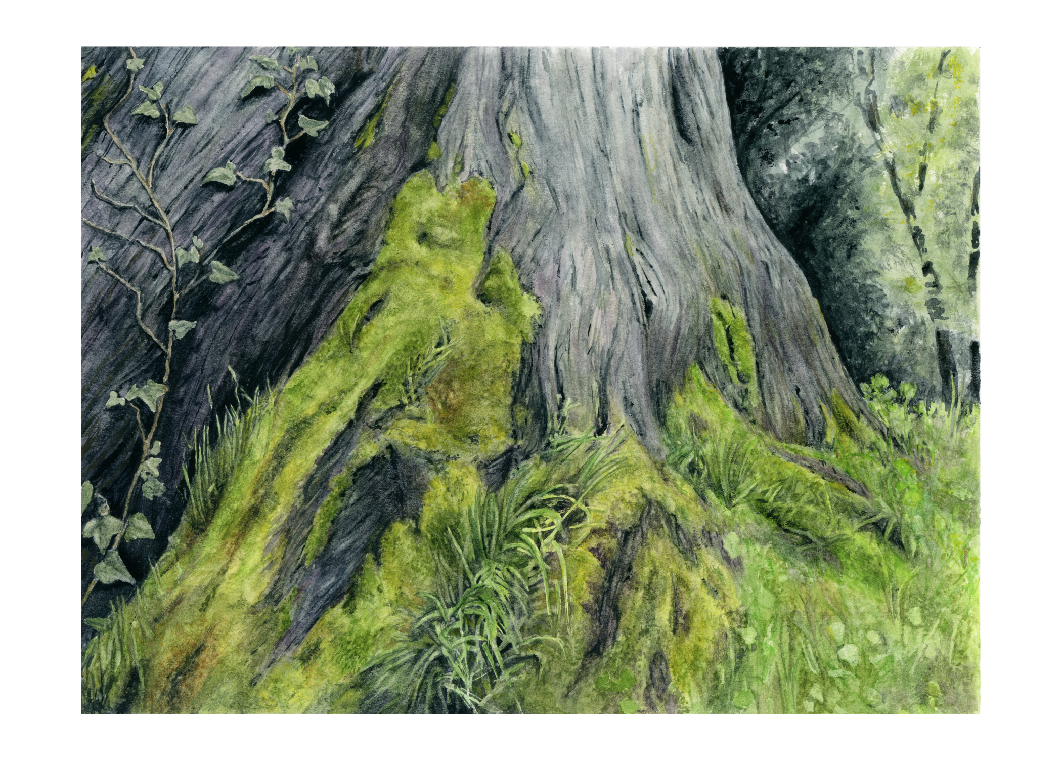 mossy tree-lowres 5x7.png