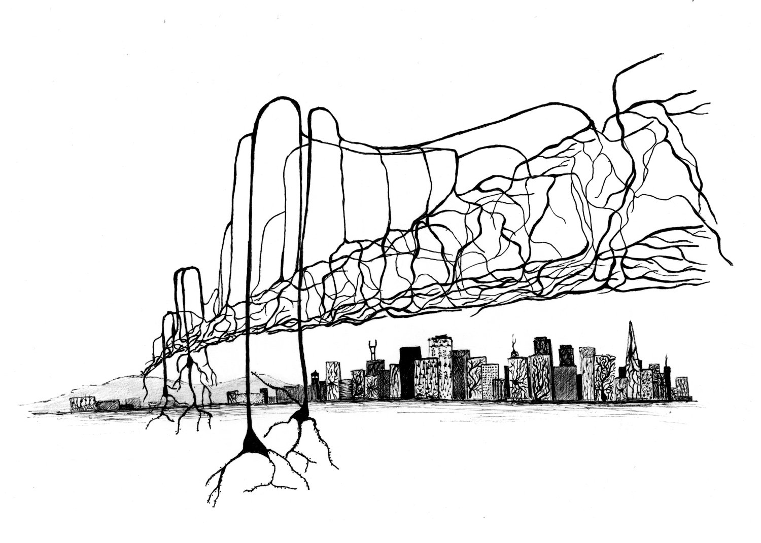 neuron bridge 1500px width.png