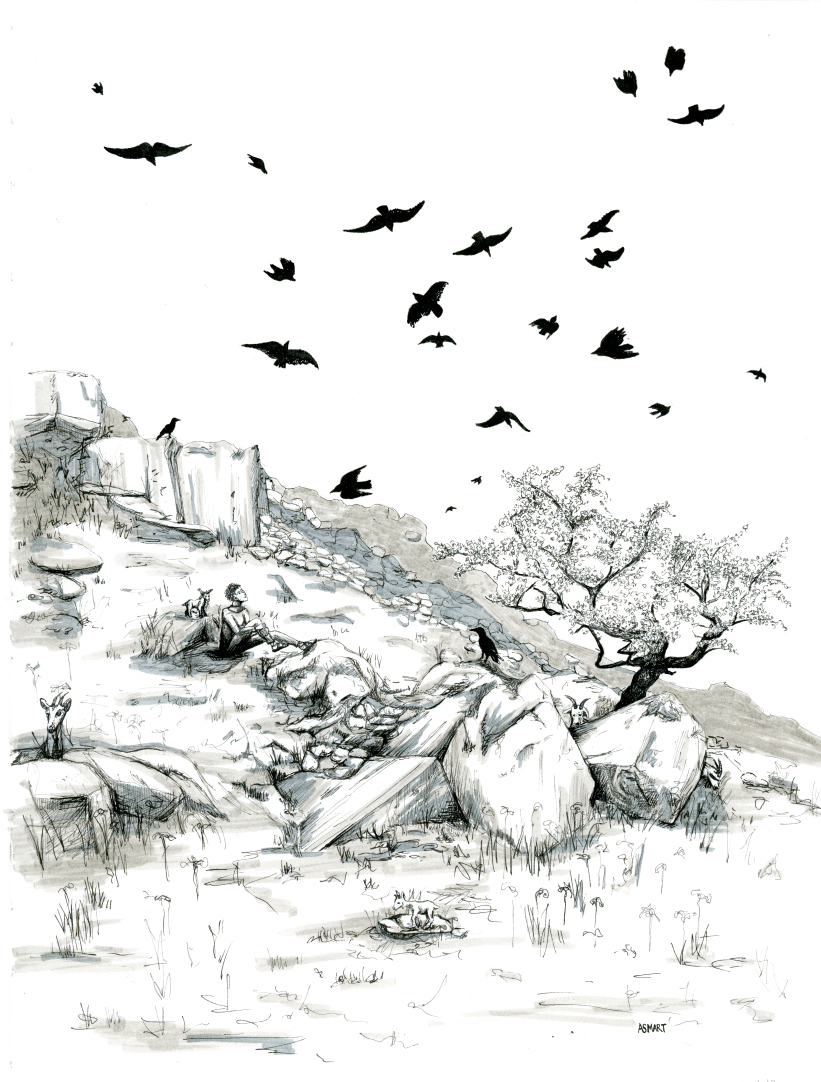 Pen and ink illustration inspired by "Trickster's Choice" by Tamora Pierce
