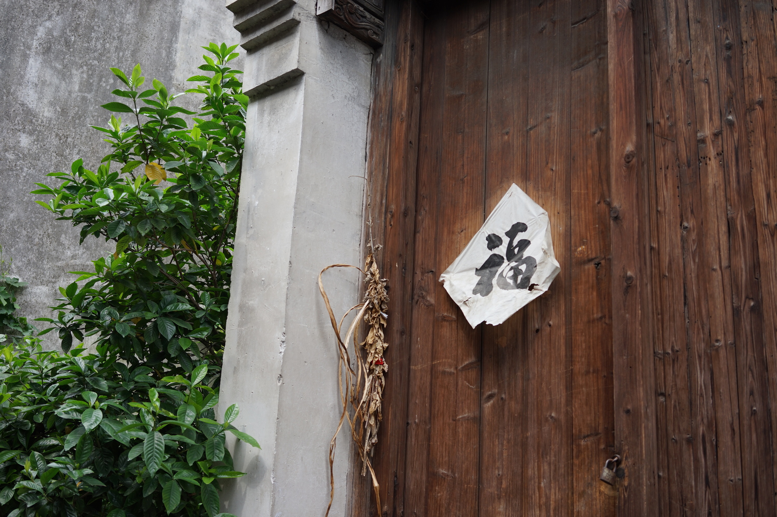  Zhejiang, China | 2014 