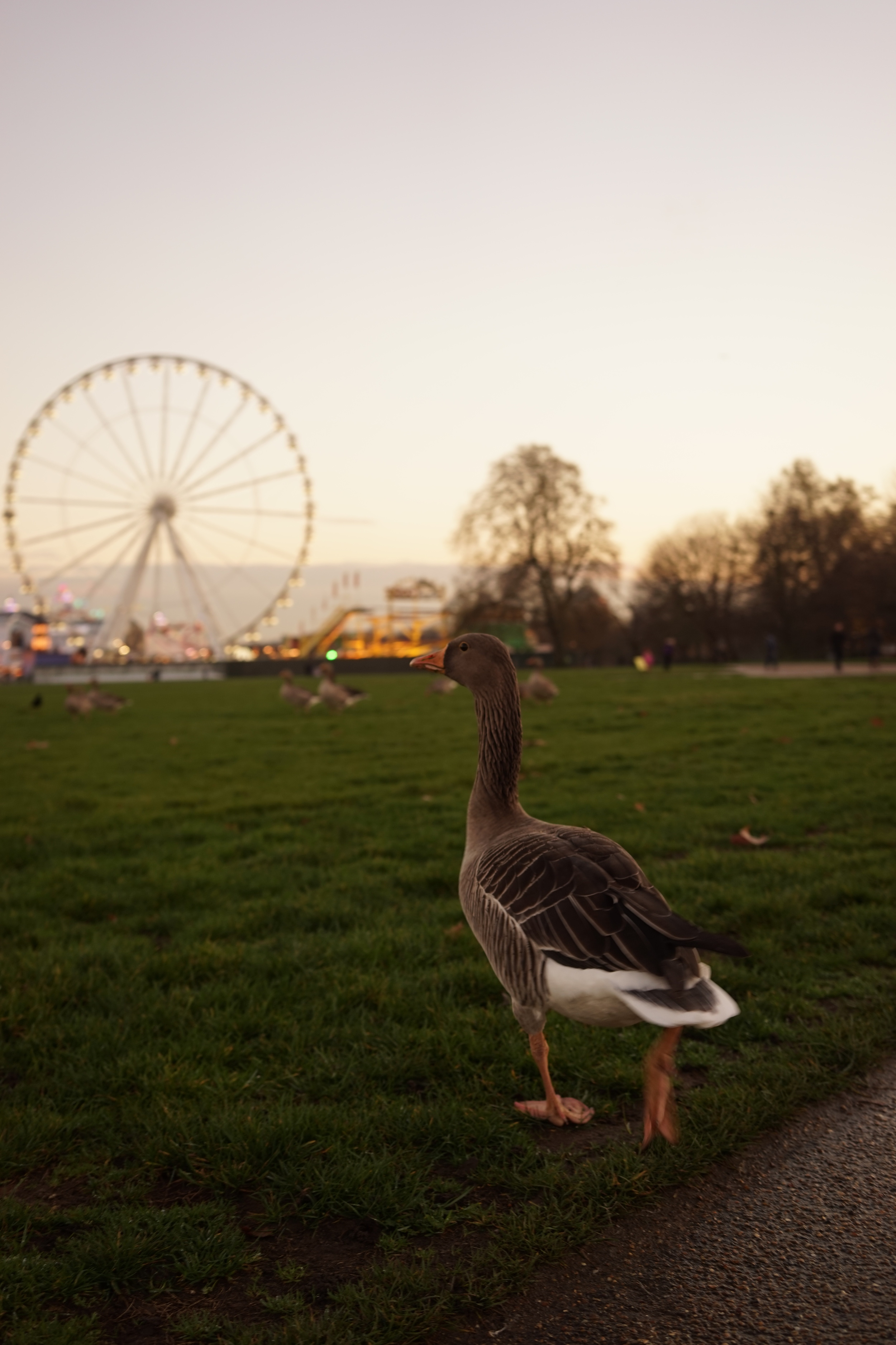  Hyde Park | London, UK | 2014 