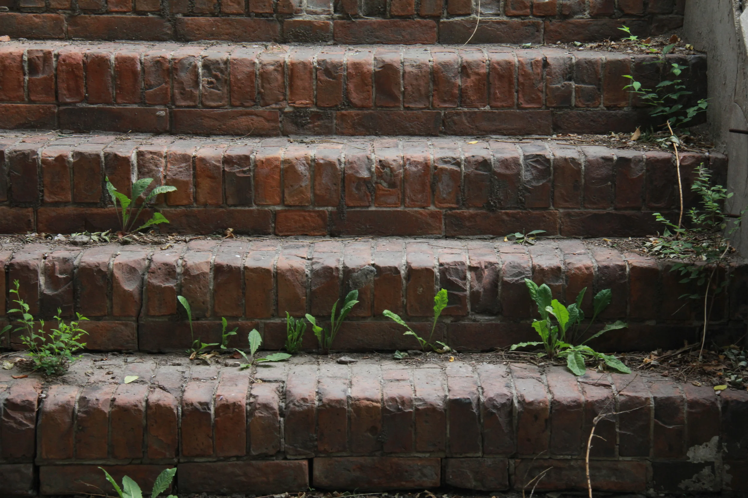  Tianjin, China | 2015 