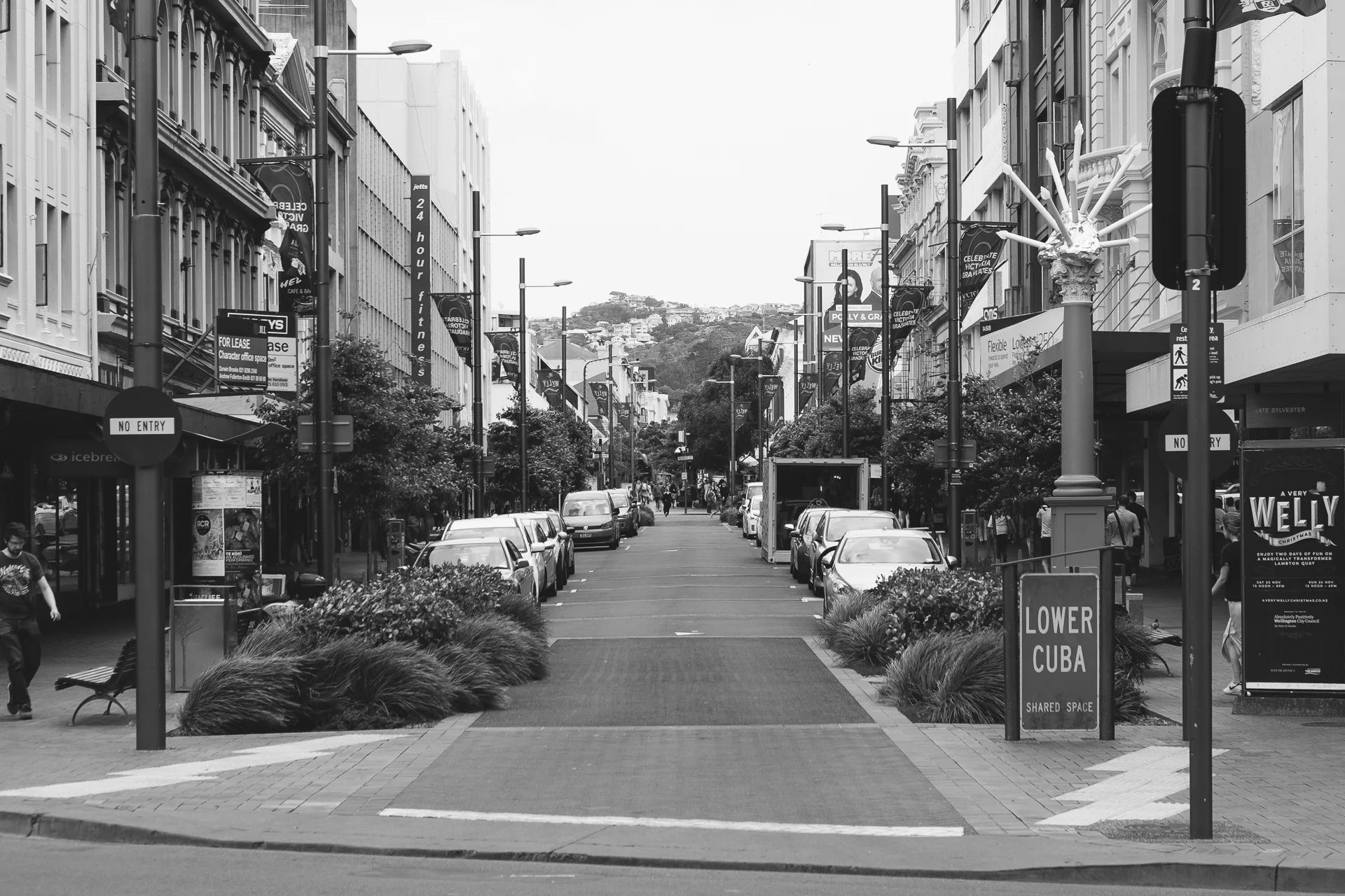 FUJI0938.jpg