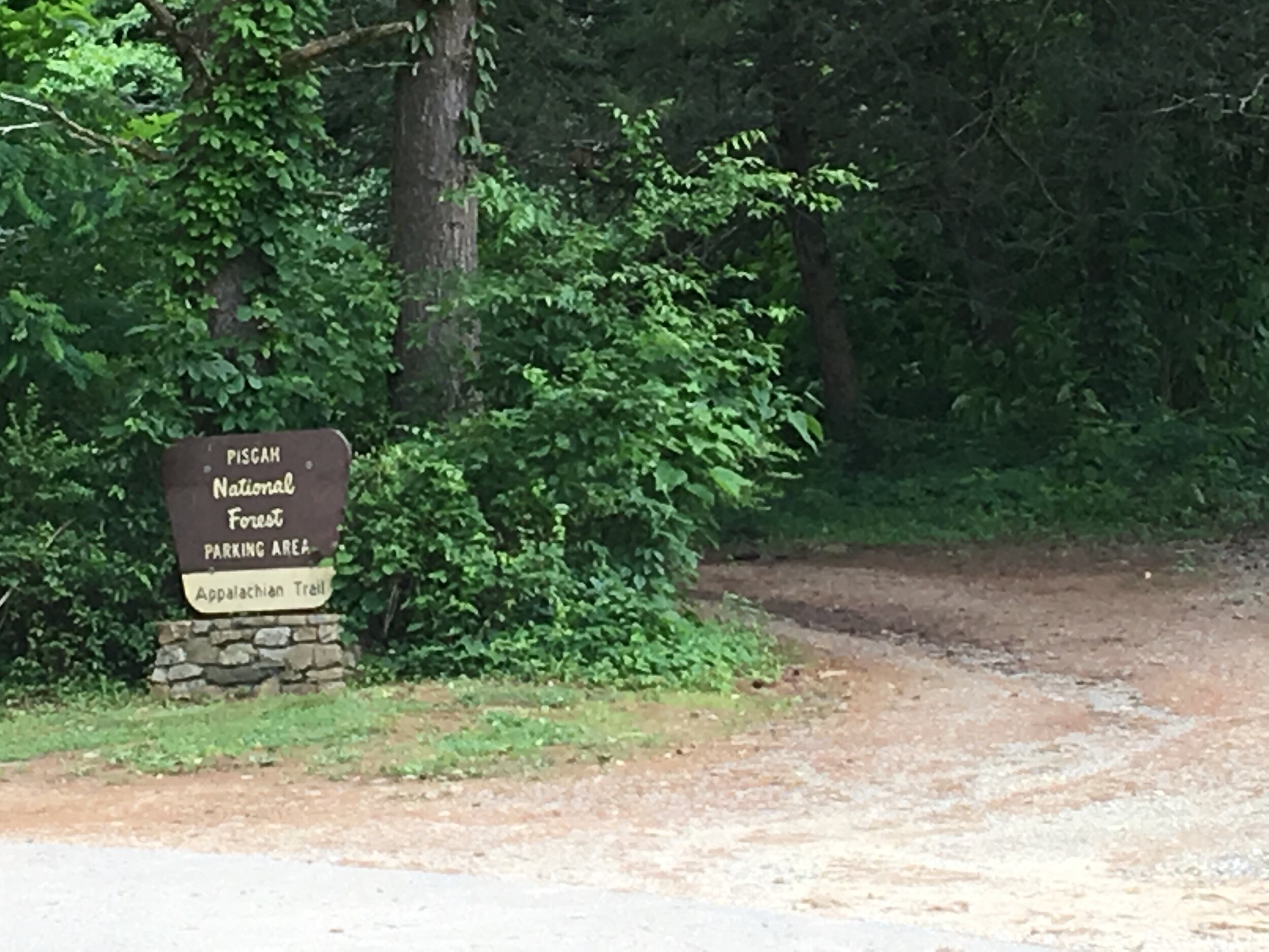 National Forest and AT trail-head just 200 ft from the cabin!