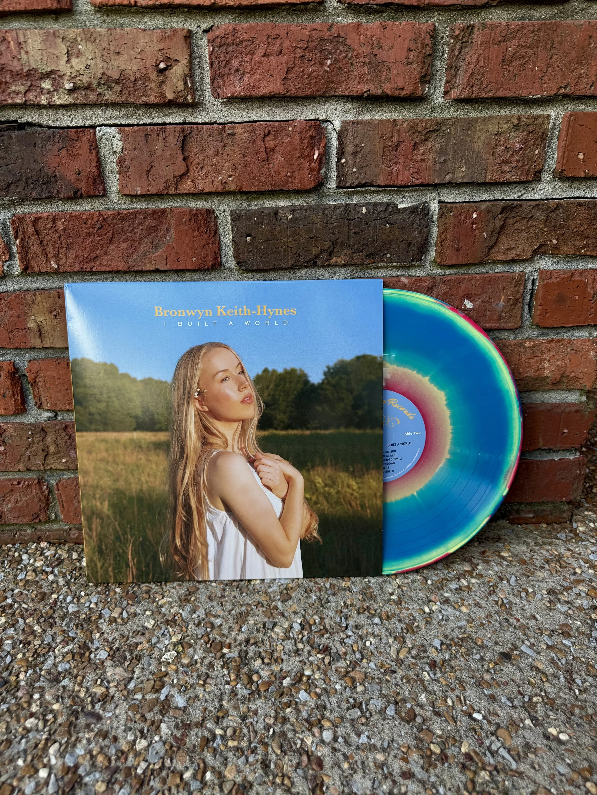 Blue rainbow ombre "I Built A World" vinyl