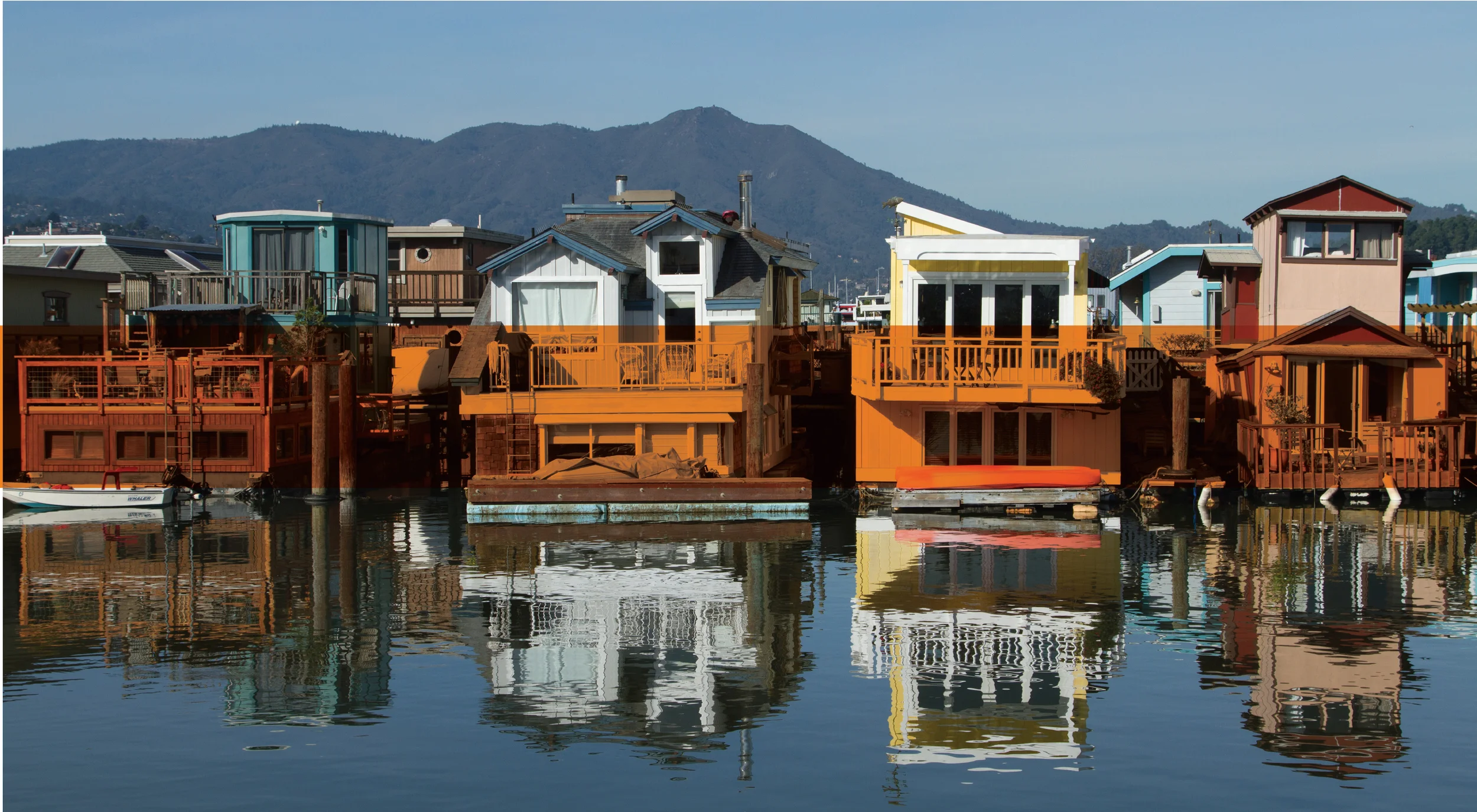 Contact Special Projects Agency.jpeg