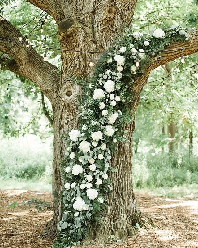 We&rsquo;re over here dreaming about wrapping our big oak in beautiful florals.
photo by: @maigancowenphotography  florals by: @flowersfromtheridge .
.
.
.
#sydenhamridge #sydenhamridgeestate #weddingvenue #outdoorwedding #barnvenue #barnwedding #cen