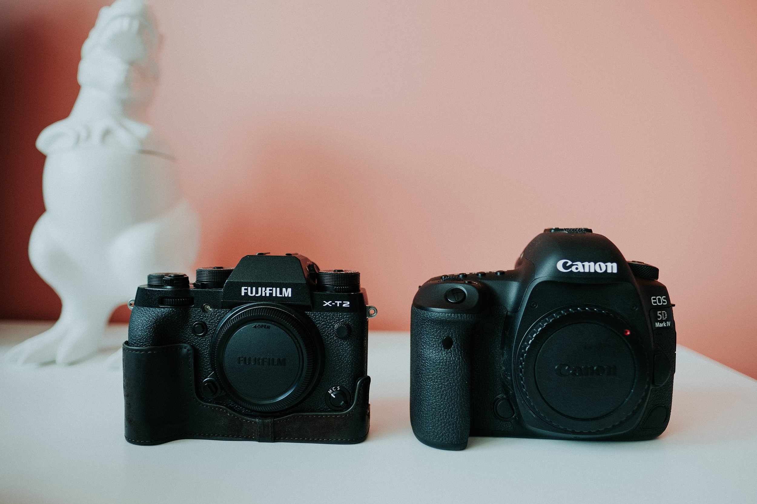 Canon 5d vs 5d mark. Xt3 vs 5d mark2. Редактор Canon. Canon Mark 3 17 40 Lens foto Test.