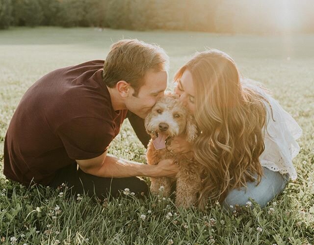 Please bring your dog to the engagement session okay? Okay.  Meet Maddie + Jake featuring Momo