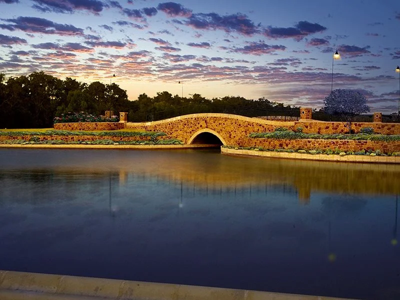 heron lake3.jpg
