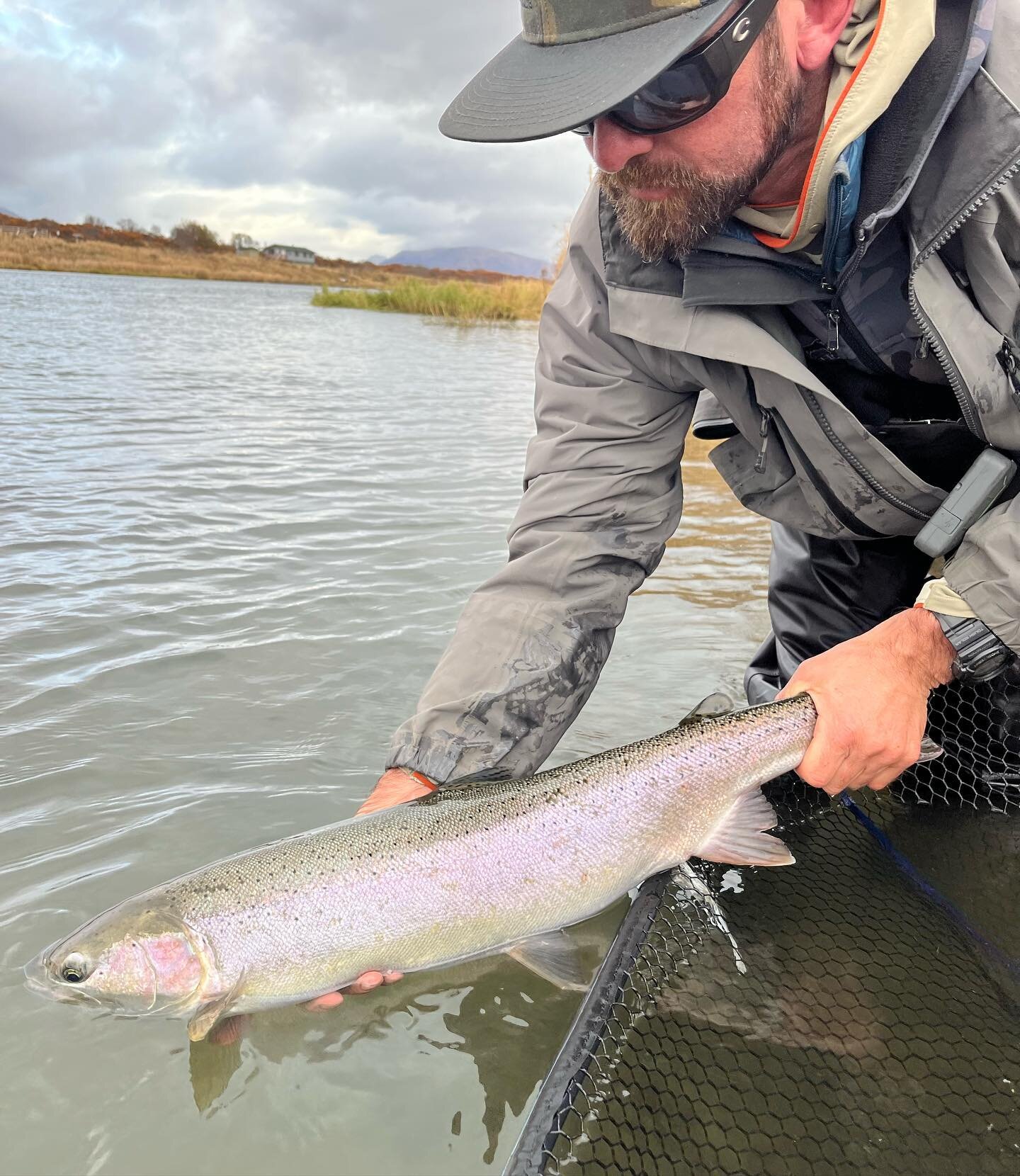 A beautiful wild hen back to a beautiful wild river, we are so lucky to call this incredible state home! 

#flyfishing #wildsteelhead #defendthewestsu #tugisthedrug #nopebblemine #fishing #catchandrelease #nocrowds #barbless #tugismydrug #guideslife 