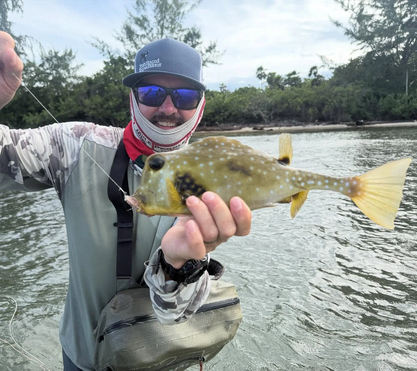 Another species added to the list! This Box fish was so much fun, it pulled hard but ate my home-tied crab pattern 3 times at the rod tip before being hooked on the 4th! Thanks Halard @island_on_the_fly for another incredible day waving sticks at fis