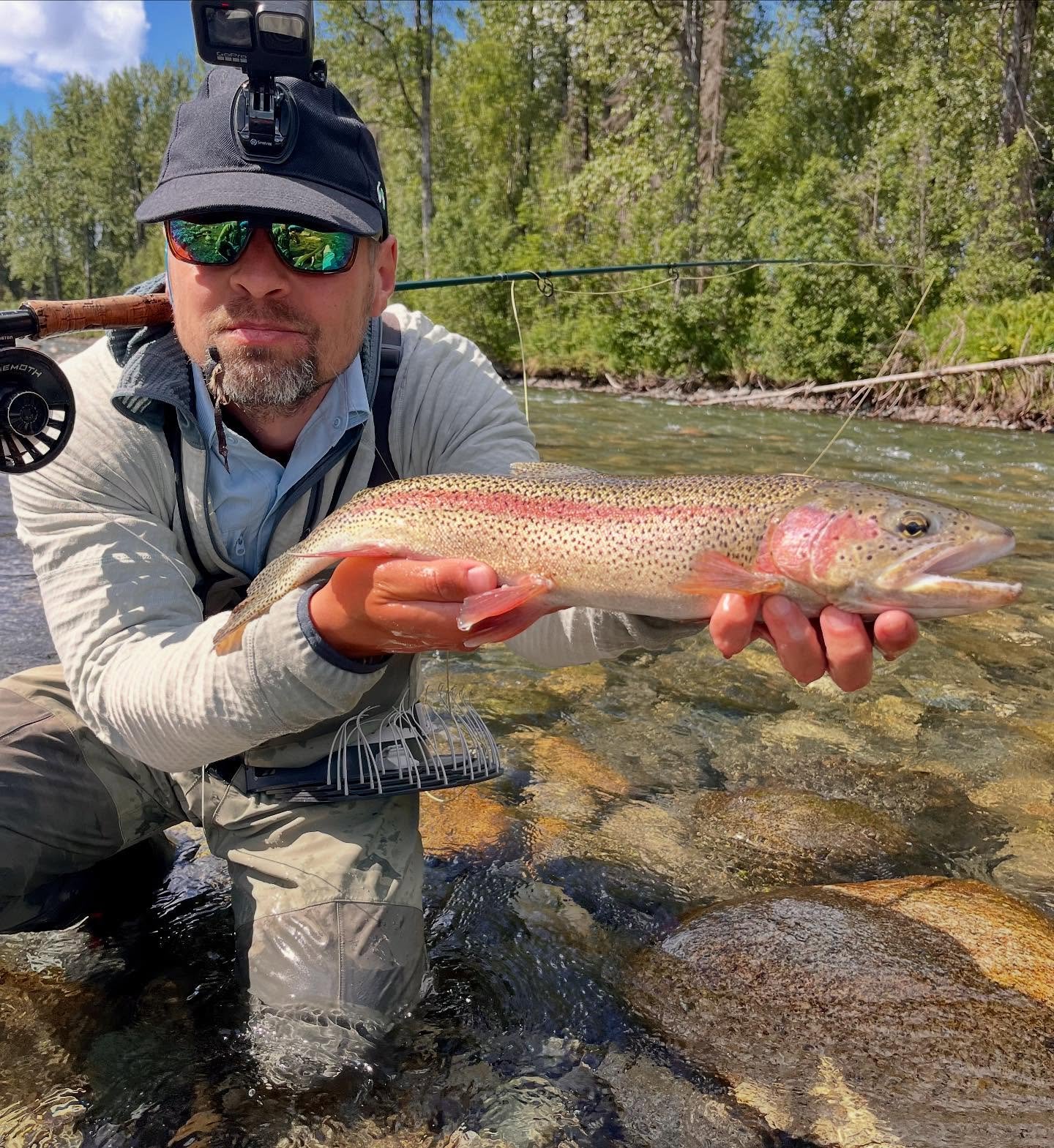 Though we definitely need some, sunshine and wild native fish doesn&rsquo;t suck!

#flyfishing #defendthewestsu #wildsalmon #tugisthedrug #nopebblemine #fishing #catchandrelease #nocrowds #barbless #tugismydrug #guideslife #flyguides #alaska #flyfish