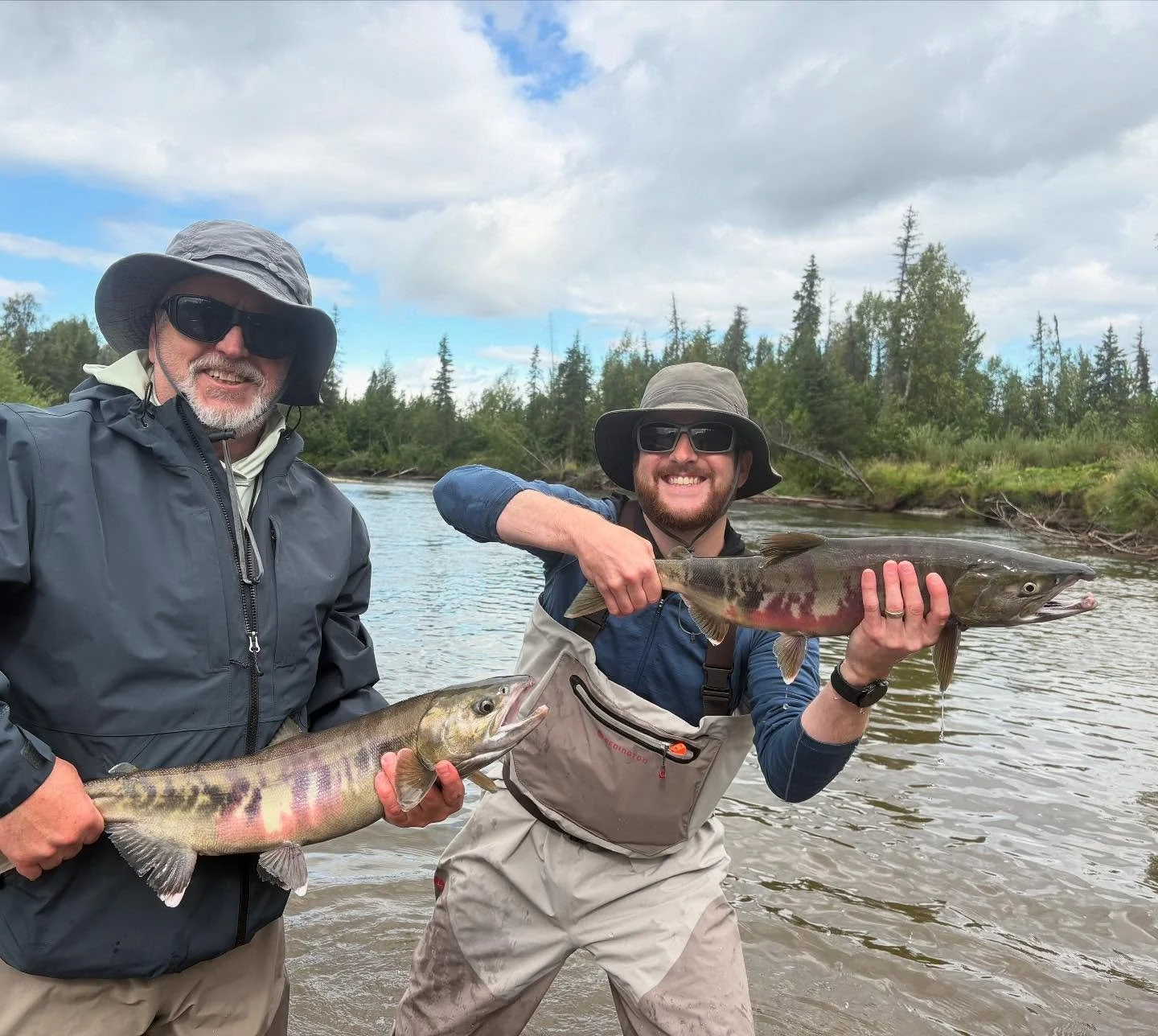 It is so good to see so many wild salmon returning back to our rivers this year! Chum are truly incredible wild salmon! The fight and endurance that they have are so much fun on the fly!

#flyfishing #defendthewestsu #wildsalmon #tugisthedrug #nopebb