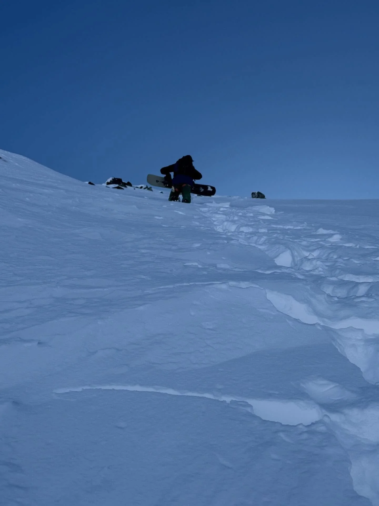 Winter things before summer things&hellip;

#guideslife #defendthewestsu #optoutside #tugisthedrug #alaska