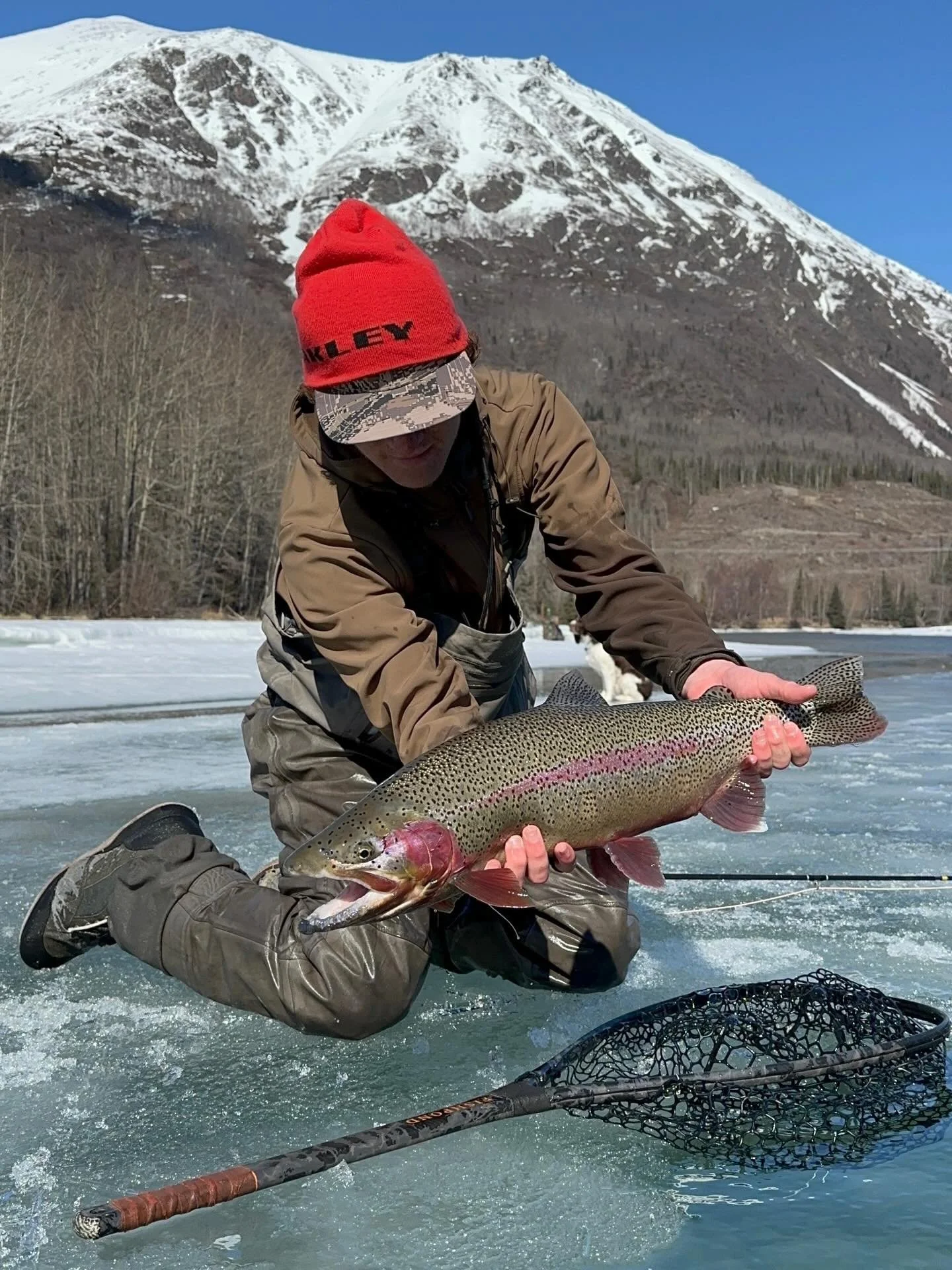 Folks were asking if we ended up landing the fish after testing the weight limit of the ice shelf the other day. Well here&rsquo;s Sully with the beautiful bow! 

#flyfishing #defendthewestsu #wildfish #tugisthedrug #nopebblemine