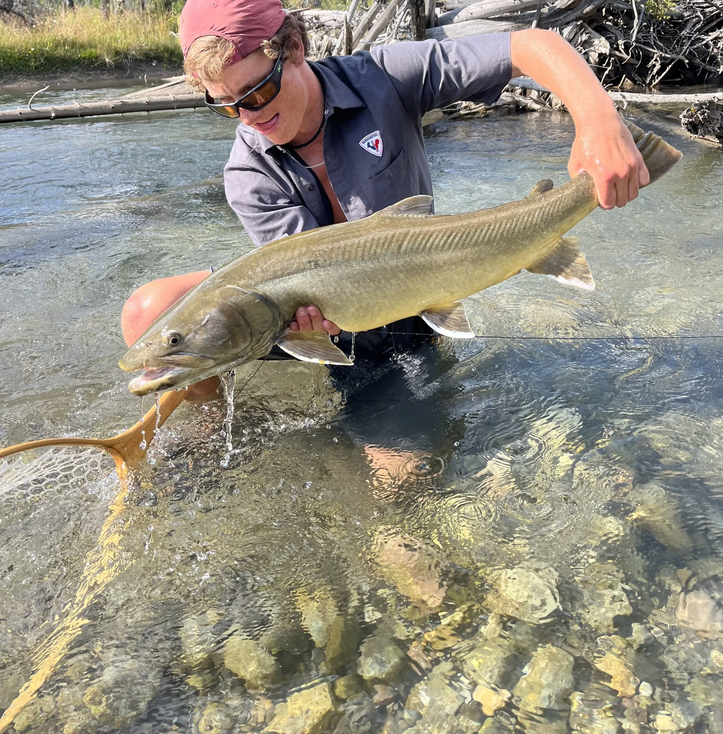 Fishing Guide holding a bull trout