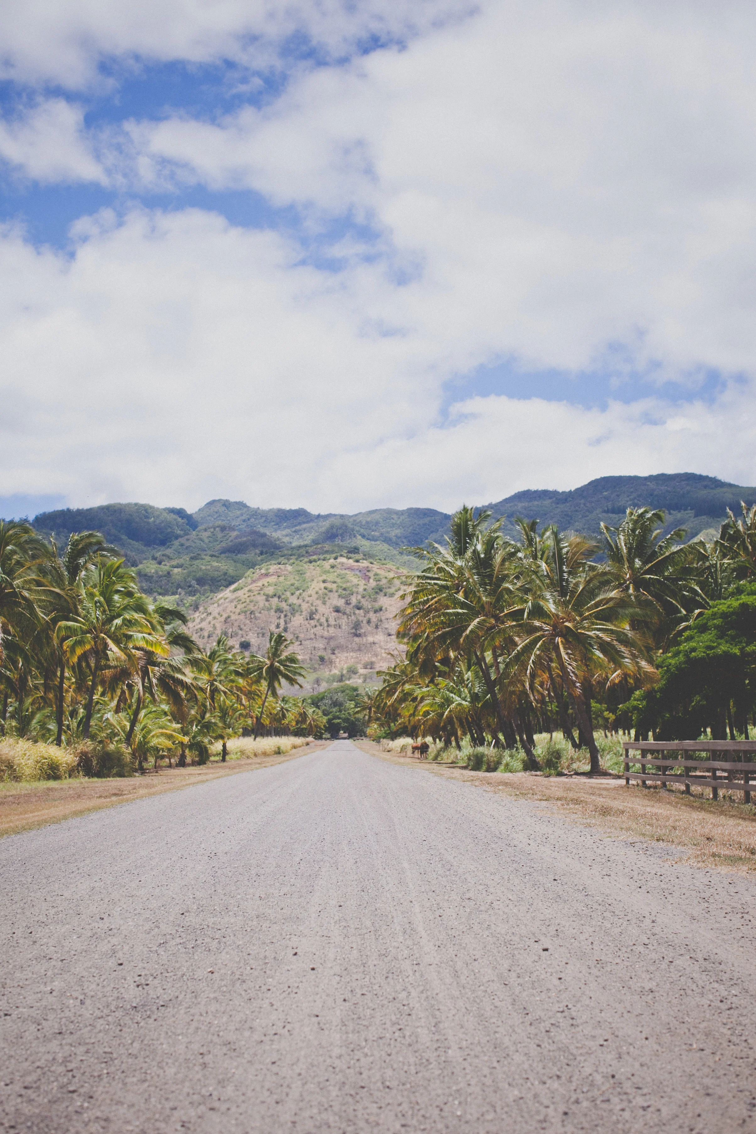 Christina Foret: Writer + Photographer. Honolulu, Hawaii. Travel Photos.