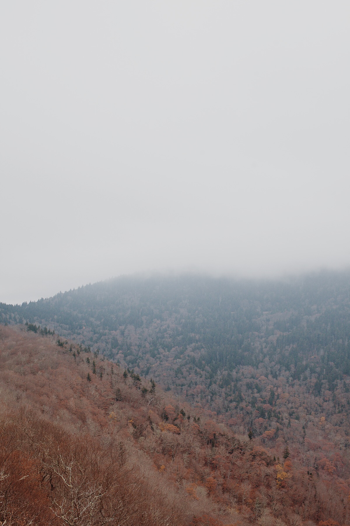 Christina Forêt | Photographer + Writer | Asheville, North Carolina | Glassmine Falls