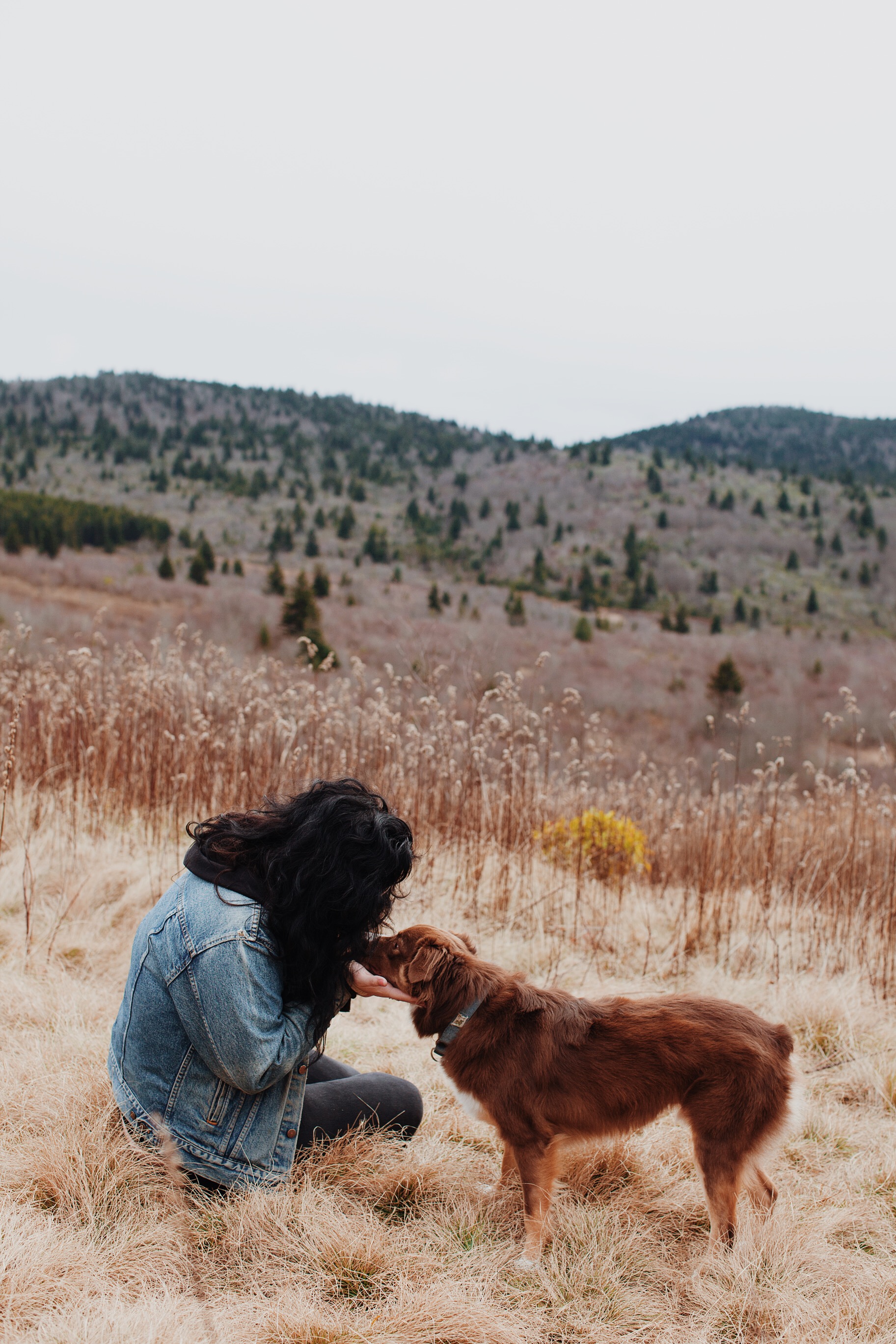  Christina Forêt | Writer + Photographer | Asheville, North Carolina | Black Balsam 