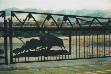 BuffaloGate1.jpg