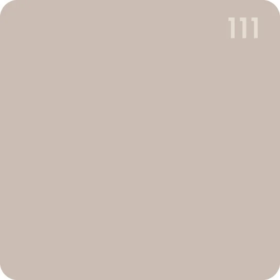 111.jpg