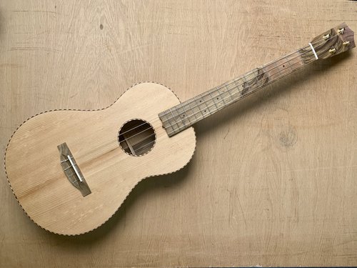 405- Spruce and Pistachio Baritone Ukulele — Beansprout Musical