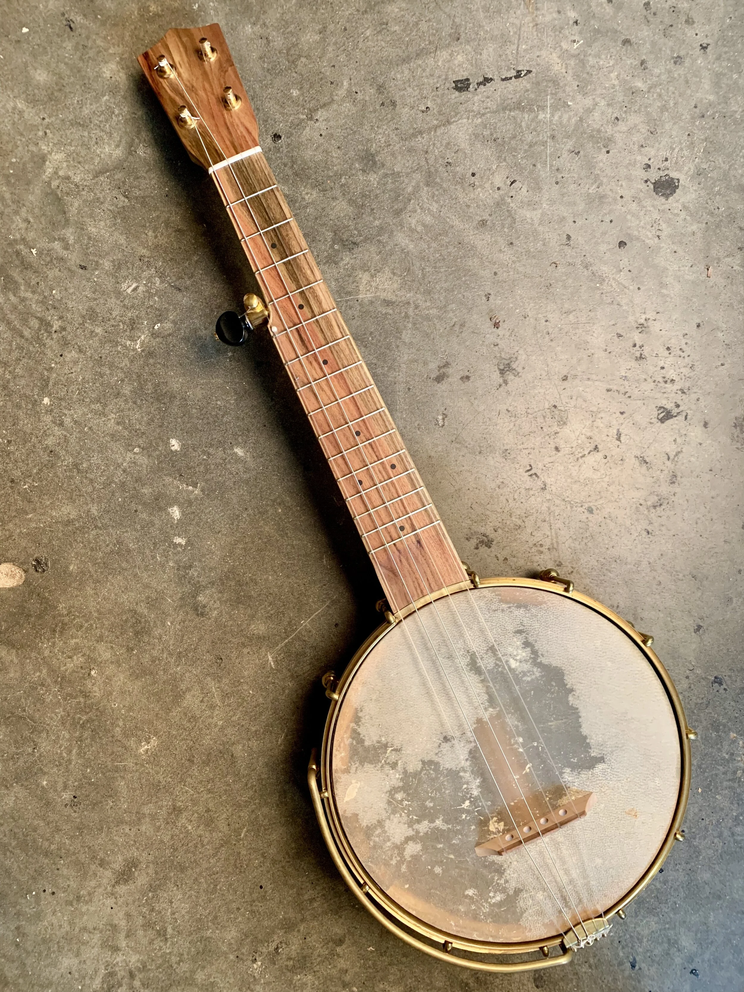 #418- Curly Maple Mini Five String Banjo — Beansprout Musical Instruments