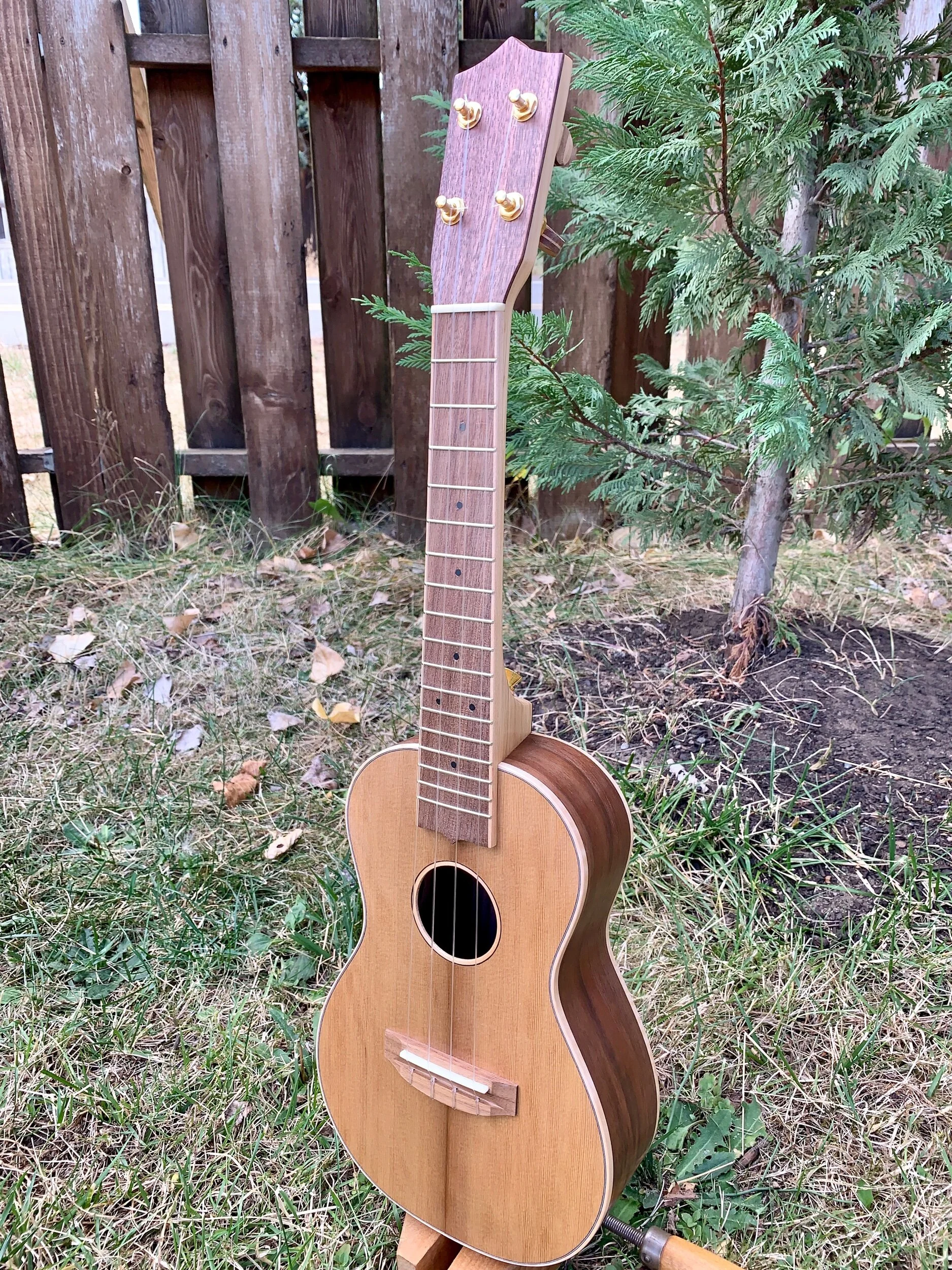 #508- Western Red Cedar and Curly Walnut Alto Ukulele — Beansprout ...