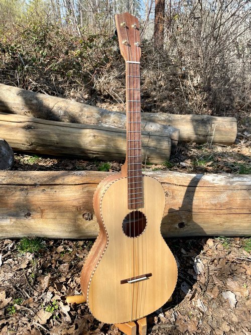 Order a Tenor Guitar- July 2024 — Beansprout Musical Instruments